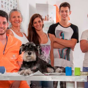 Prácticas Curso Auxiliar Ténico Veterinario - TOP aul@ Online