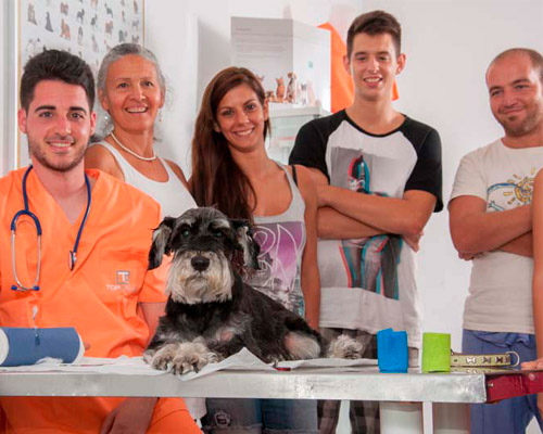 Prácticas Curso Auxiliar Ténico Veterinario - TOP aul@ Online