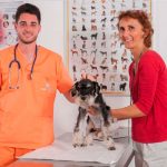 Prácticas Curso Auxiliar Ténico Veterinario - TOP aul@ Online